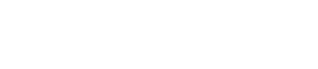 BOLA101